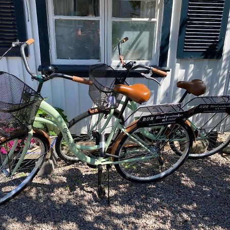 B&B Bland Ormbunkar Och Rosor Falkenberg Buitenkant foto