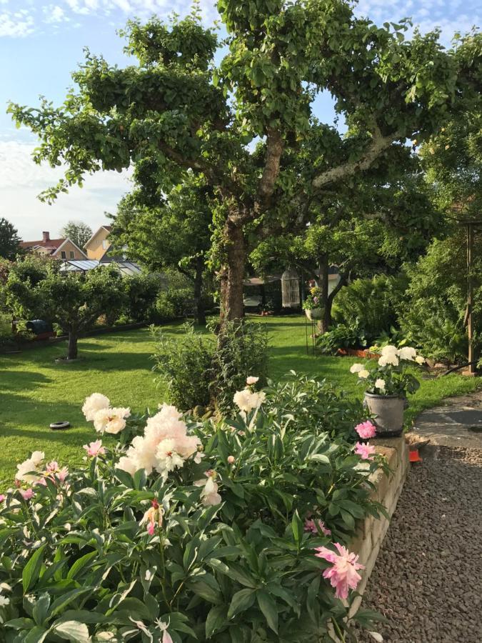 B&B Bland Ormbunkar Och Rosor Falkenberg Buitenkant foto