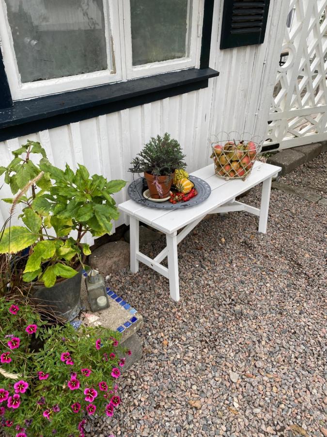 B&B Bland Ormbunkar Och Rosor Falkenberg Buitenkant foto