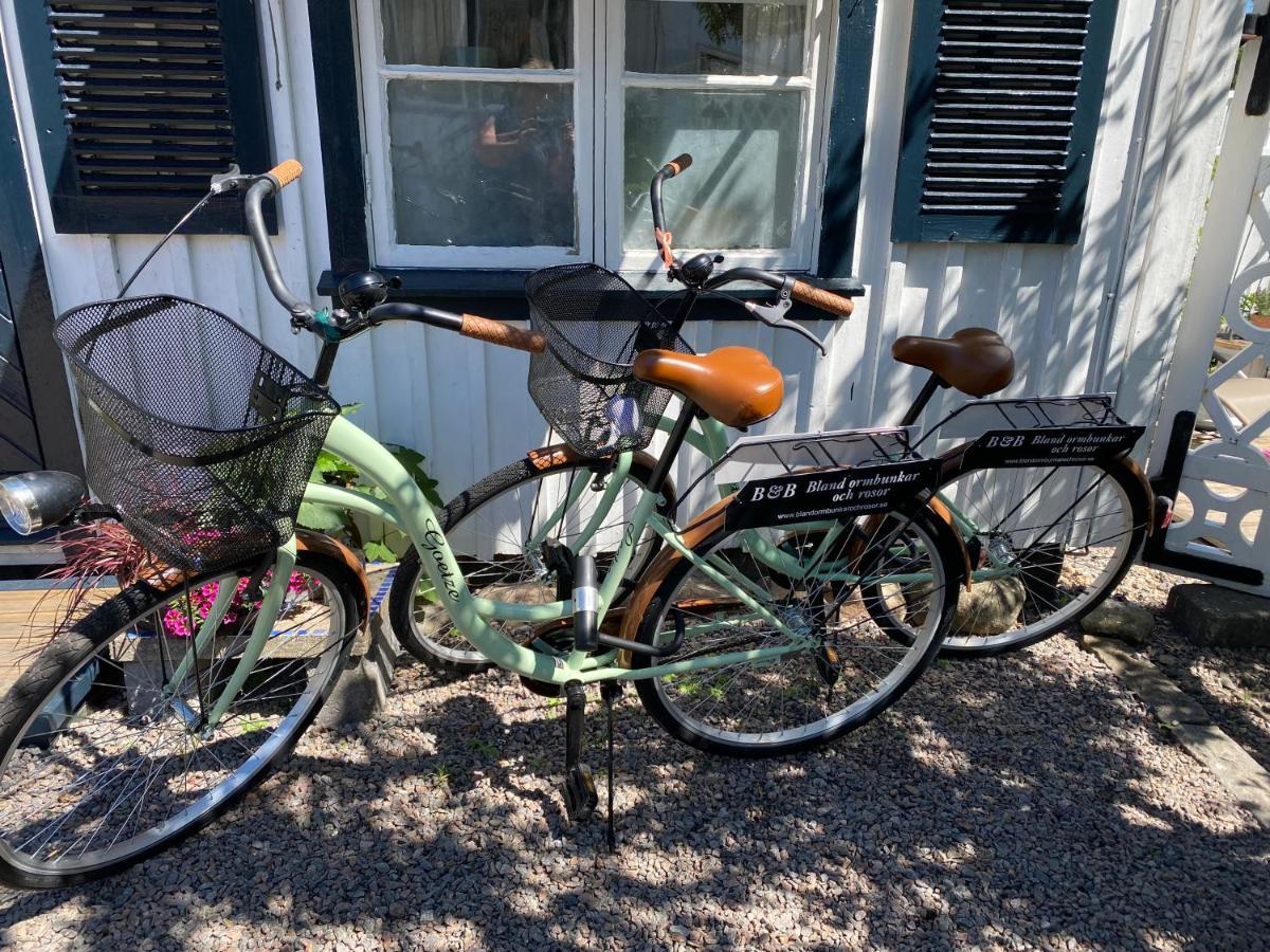 B&B Bland Ormbunkar Och Rosor Falkenberg Buitenkant foto