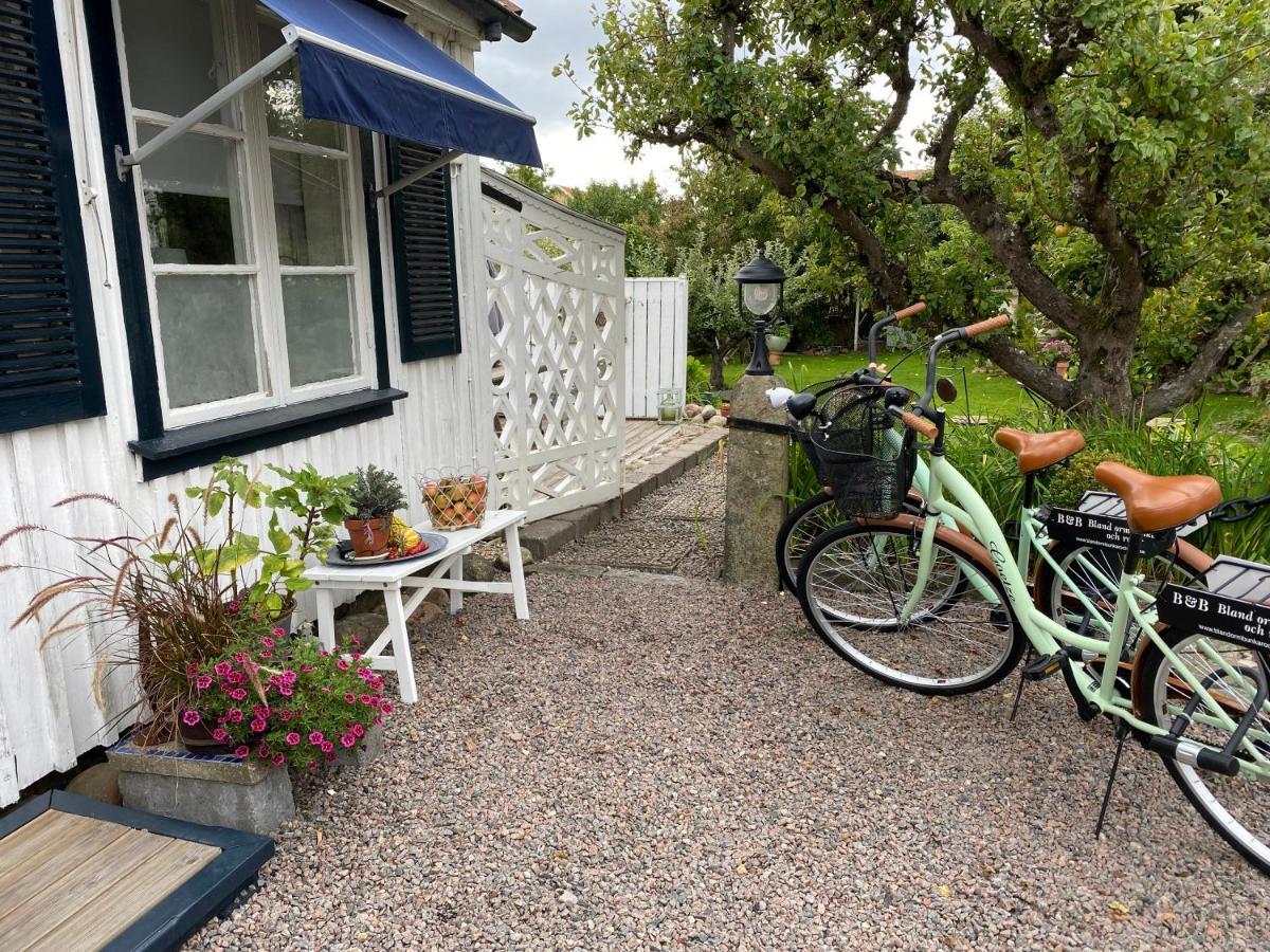 B&B Bland Ormbunkar Och Rosor Falkenberg Buitenkant foto